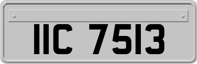 IIC7513