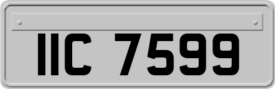IIC7599