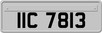 IIC7813