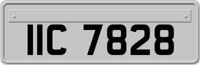 IIC7828