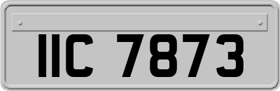 IIC7873