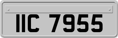 IIC7955