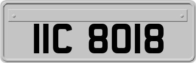 IIC8018