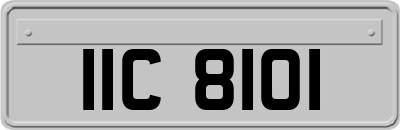 IIC8101