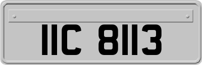 IIC8113