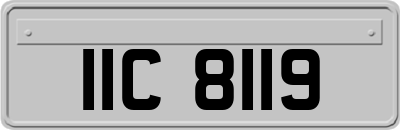 IIC8119