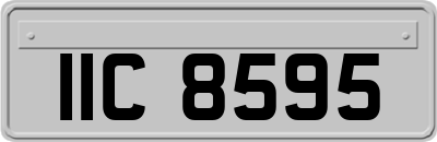 IIC8595