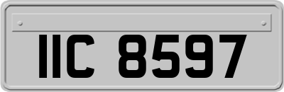 IIC8597