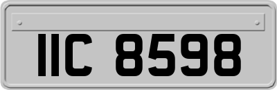 IIC8598