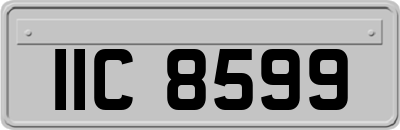 IIC8599
