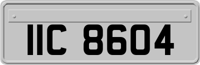 IIC8604
