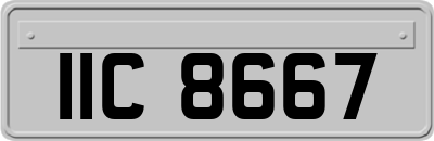 IIC8667