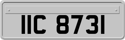 IIC8731