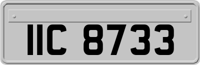 IIC8733