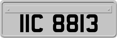 IIC8813