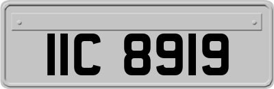 IIC8919