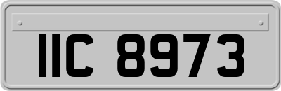 IIC8973