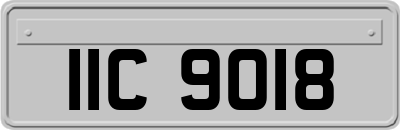 IIC9018