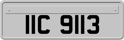 IIC9113