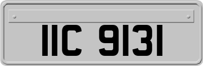 IIC9131