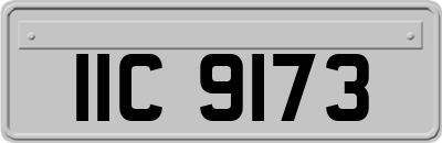 IIC9173