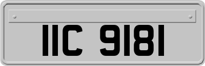 IIC9181