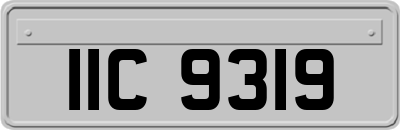 IIC9319