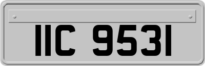 IIC9531
