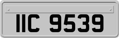 IIC9539