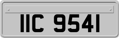 IIC9541