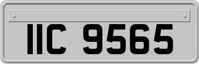 IIC9565