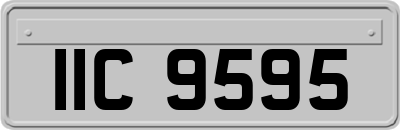 IIC9595