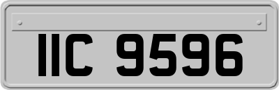 IIC9596