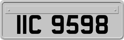 IIC9598