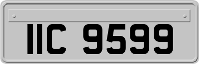 IIC9599