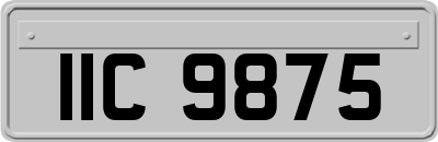 IIC9875
