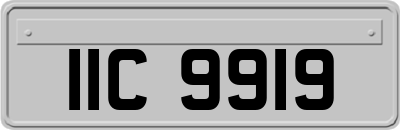IIC9919