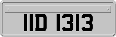IID1313