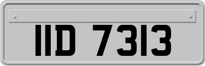 IID7313