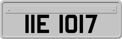 IIE1017