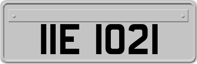 IIE1021