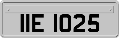 IIE1025