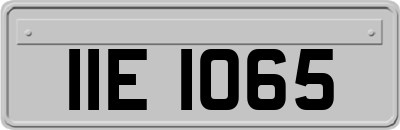 IIE1065