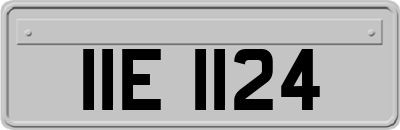 IIE1124