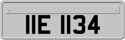 IIE1134