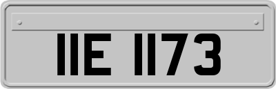 IIE1173