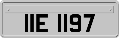 IIE1197