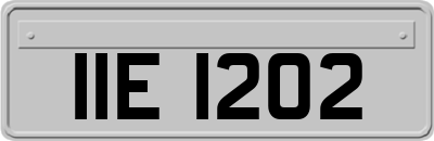 IIE1202