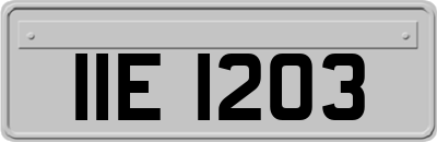 IIE1203