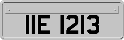 IIE1213
